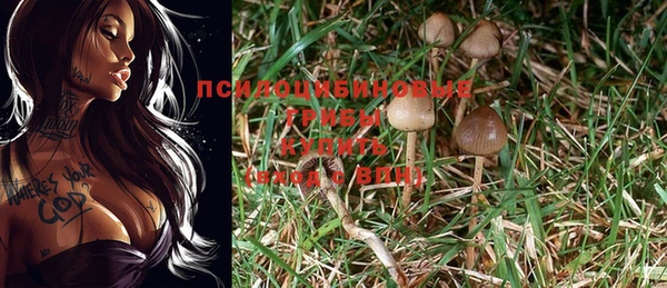 дурь Балахна